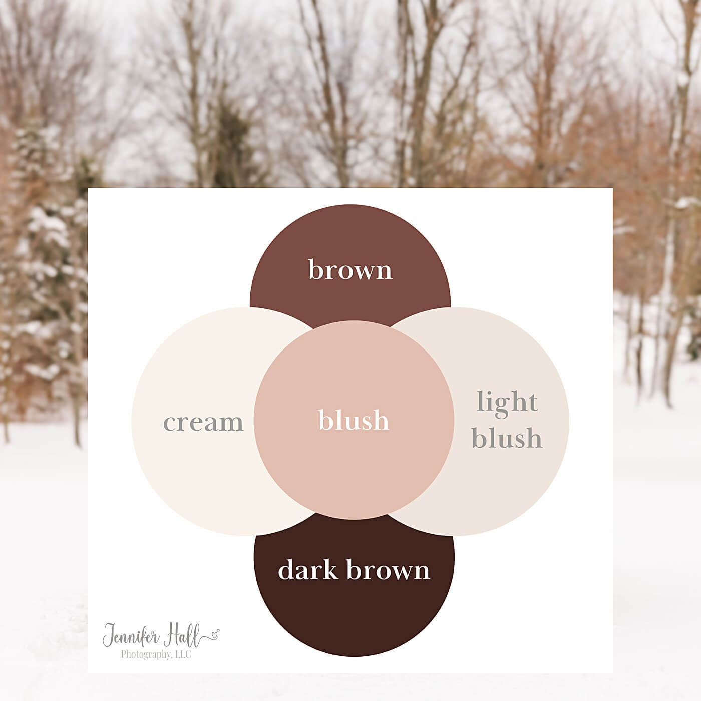 Blush and brown color scheme circles to show how to coordinate outfits for family portraits.