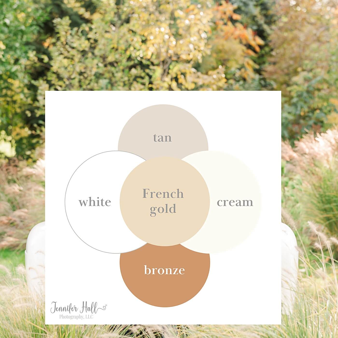 French gold, white, cream, tan, and bronze color scheme for family photos.