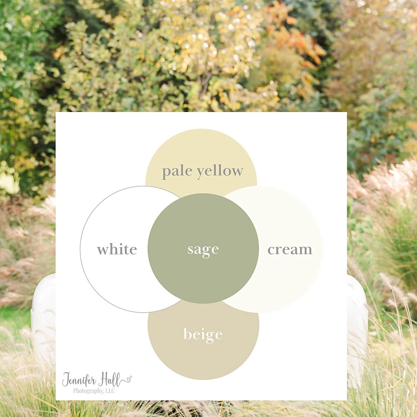 Sage, white, cream, pale yellow, and beige color scheme for fall family pictures.