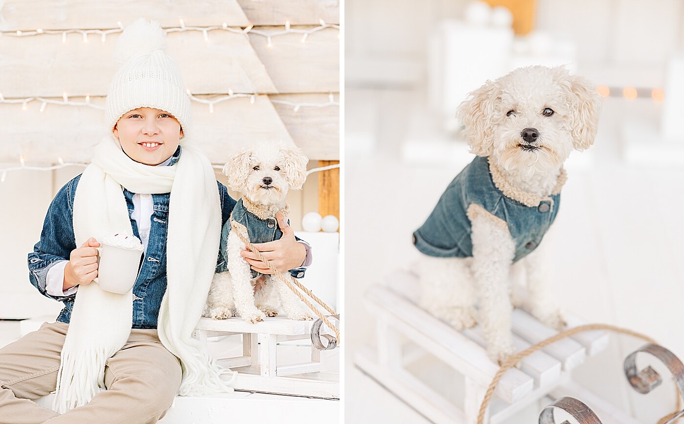 Boy hugging a dog, and the dog sitting on a white sled for Christmas photos.