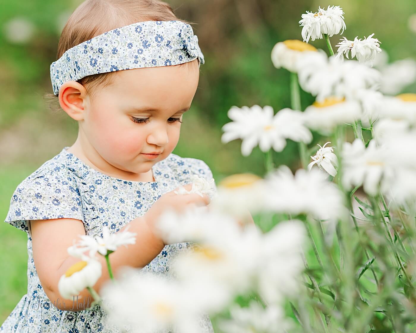 Little girl with a blue dress to show a little girl’s clothing idea for family pictures.